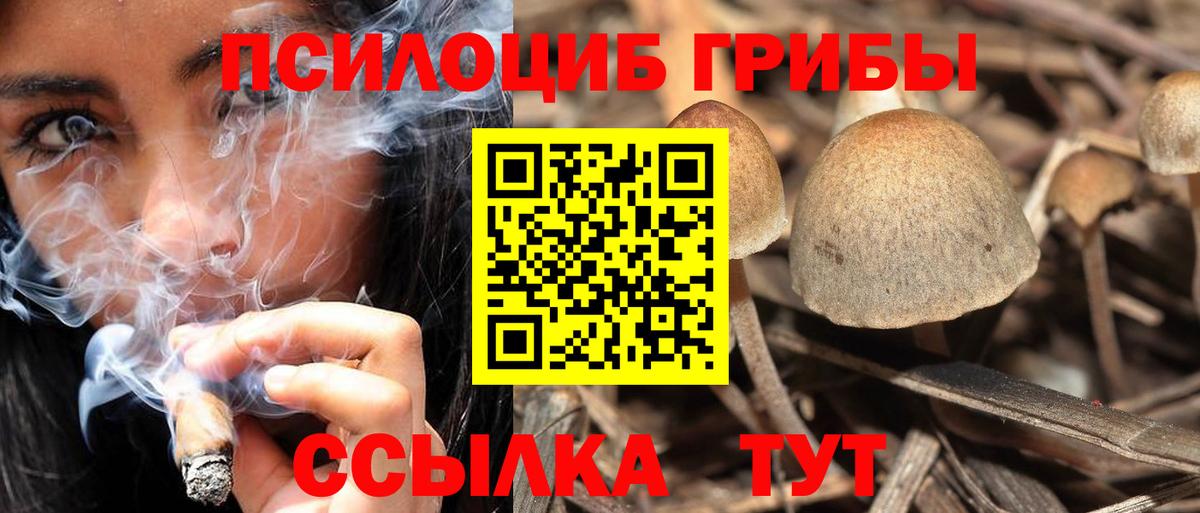 Каменка  Псилоцибиновые грибы Psilocybe  Галлюциногенные грибы Psilocybine cubensis  Вход с VPN 